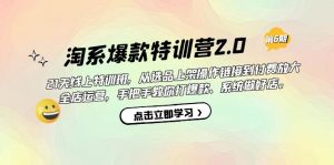 淘系爆款特训营2.0【第六期】从选品上架到付费放大 全店运营 打爆款 做好店-依次元
