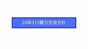 （9398期）2024年315暴力引流方针-依次元
