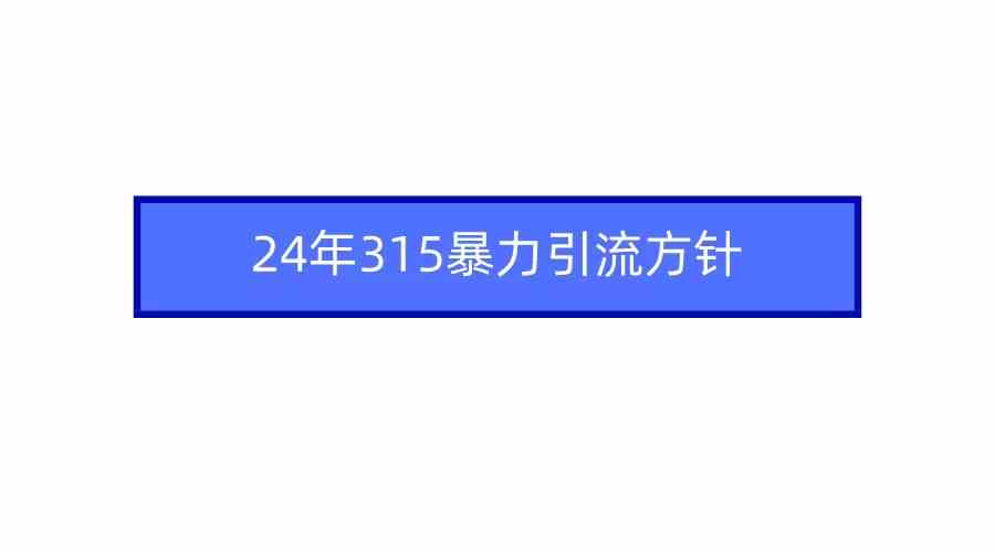 (9398期)2024年315暴力引流方针-依次元