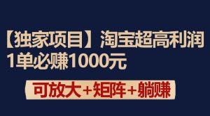独家淘宝超高利润项目：1单必赚1000元，可放大可矩阵操作-依次元