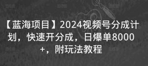 【蓝海项目】2024视频号分成计划，快速开分成，日爆单8000+，附玩法教程-依次元